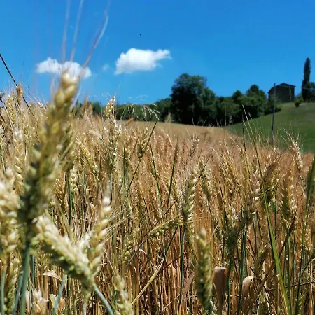 Az. Agr. Agriturismo Nonna Nella
