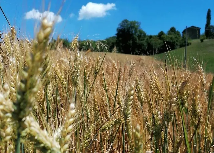 Az. Agr. Agriturismo Nonna Nella